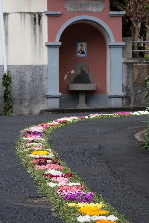 Antonella Home Funchal 0*, Funchal (Madeira) Portugal
